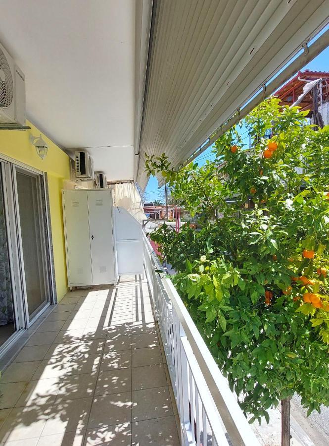 Orange Tree Apartment 艾斯普罗瓦塔 外观 照片