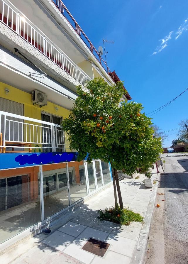 Orange Tree Apartment 艾斯普罗瓦塔 外观 照片
