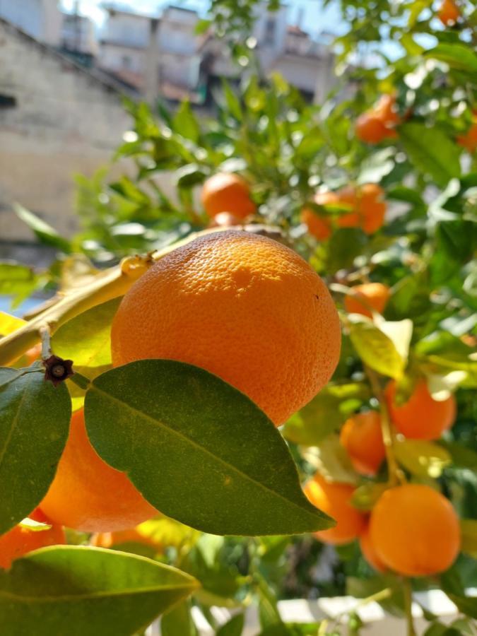Orange Tree Apartment 艾斯普罗瓦塔 外观 照片